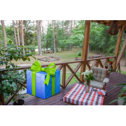 V.Sireikytė apgyvendinimo...