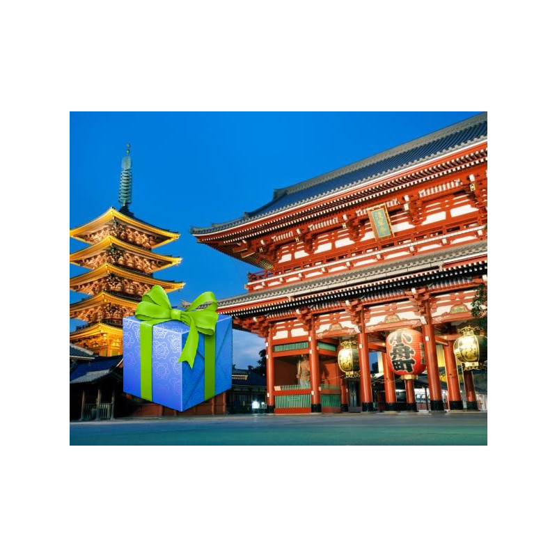 V.Sireikytė kelionės organizavimo paslaugos