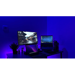 V.Sireikytė žaidimų kompiuteris